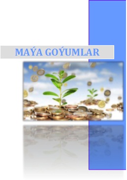 Maýa goýumlar